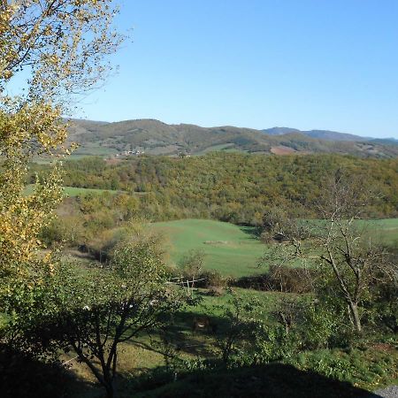 Chambre D'Hotes Des Monts Saint-Izaire Zewnętrze zdjęcie