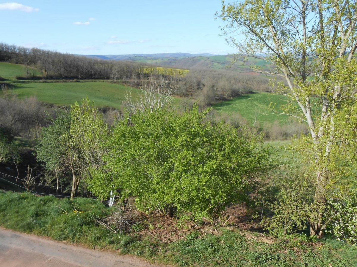 Chambre D'Hotes Des Monts Saint-Izaire Zewnętrze zdjęcie
