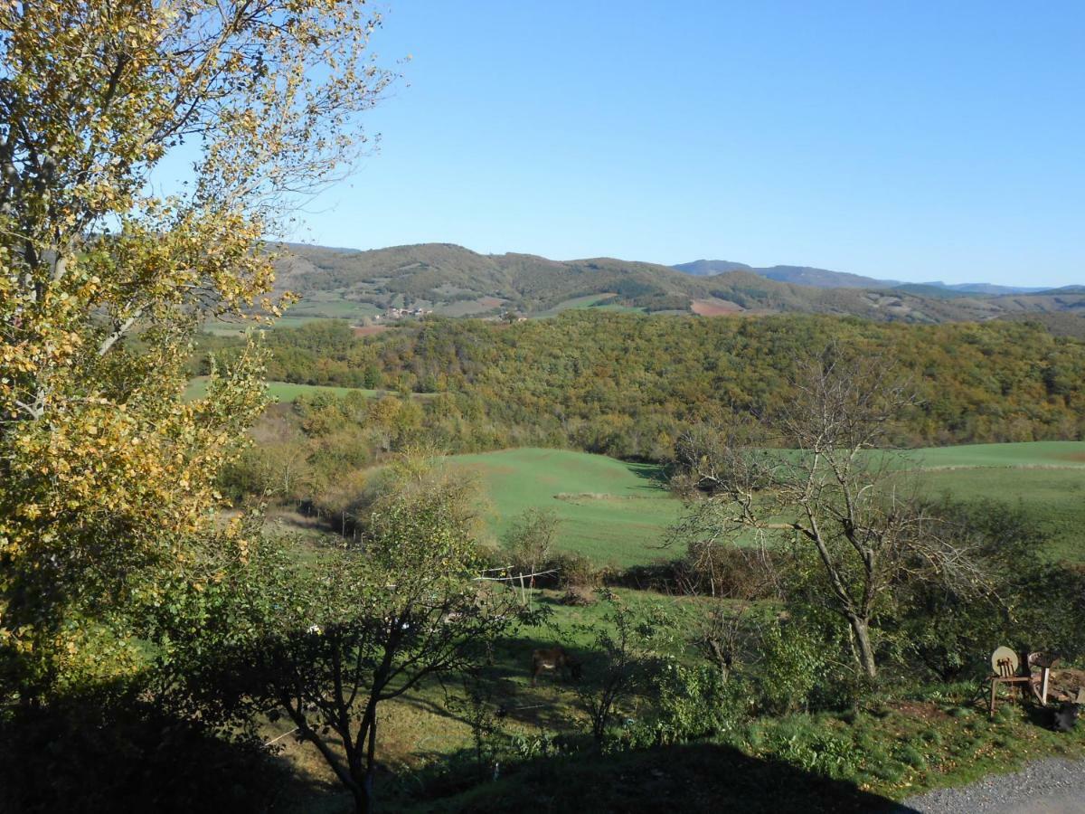 Chambre D'Hotes Des Monts Saint-Izaire Zewnętrze zdjęcie