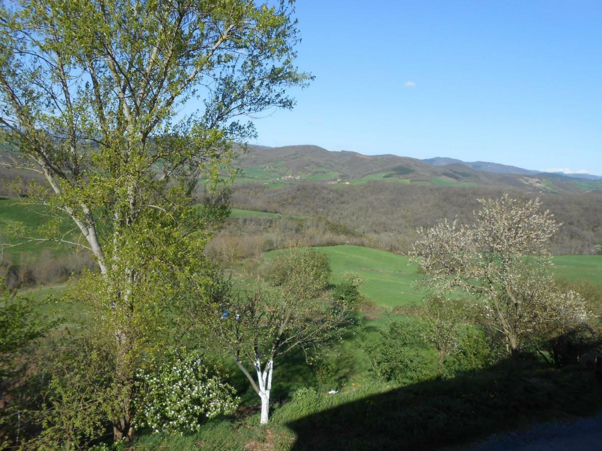 Chambre D'Hotes Des Monts Saint-Izaire Zewnętrze zdjęcie