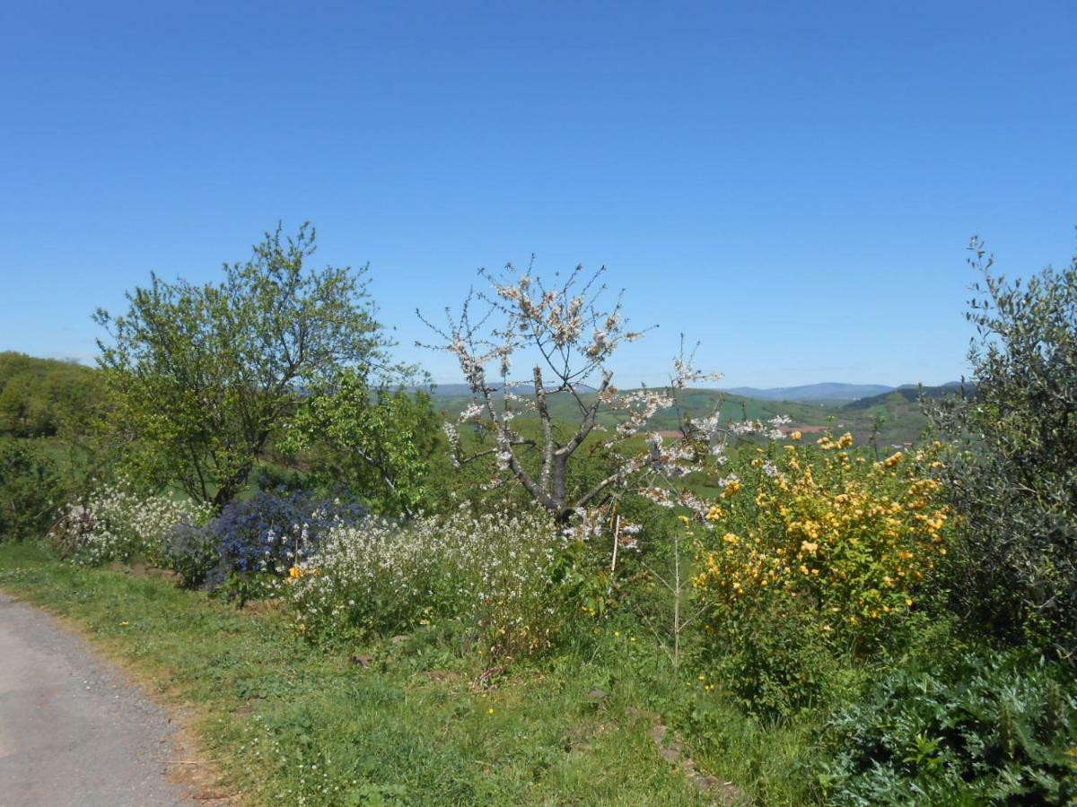 Chambre D'Hotes Des Monts Saint-Izaire Zewnętrze zdjęcie